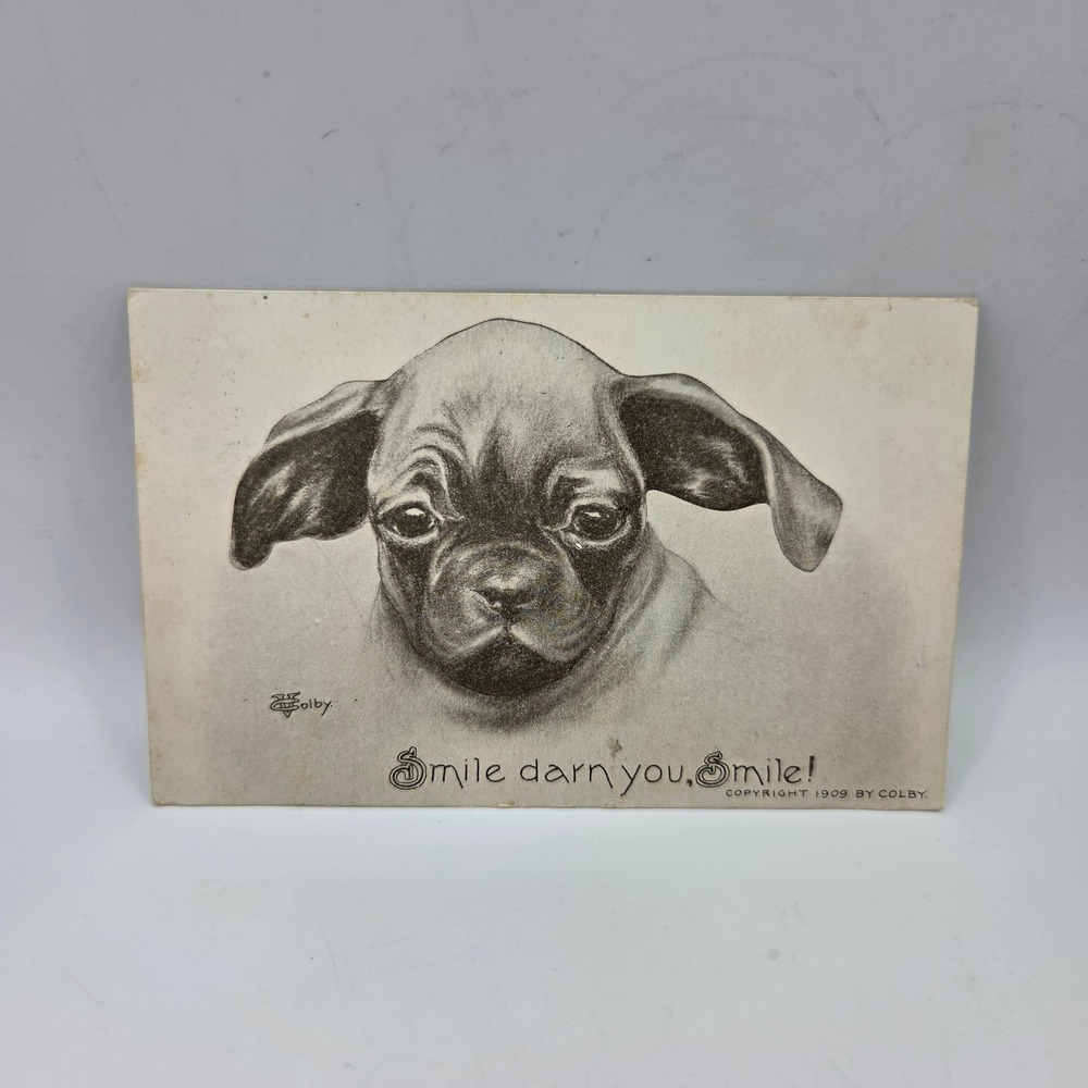 Antique Smile Darn You Smile Dog Postcard Colby 1909 Grand Rapids Michigan 1910